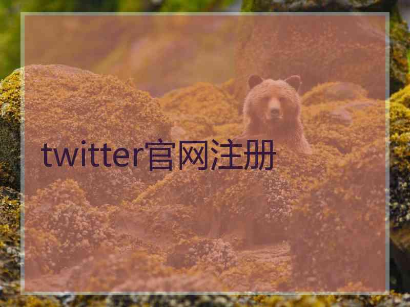 twitter官网注册
