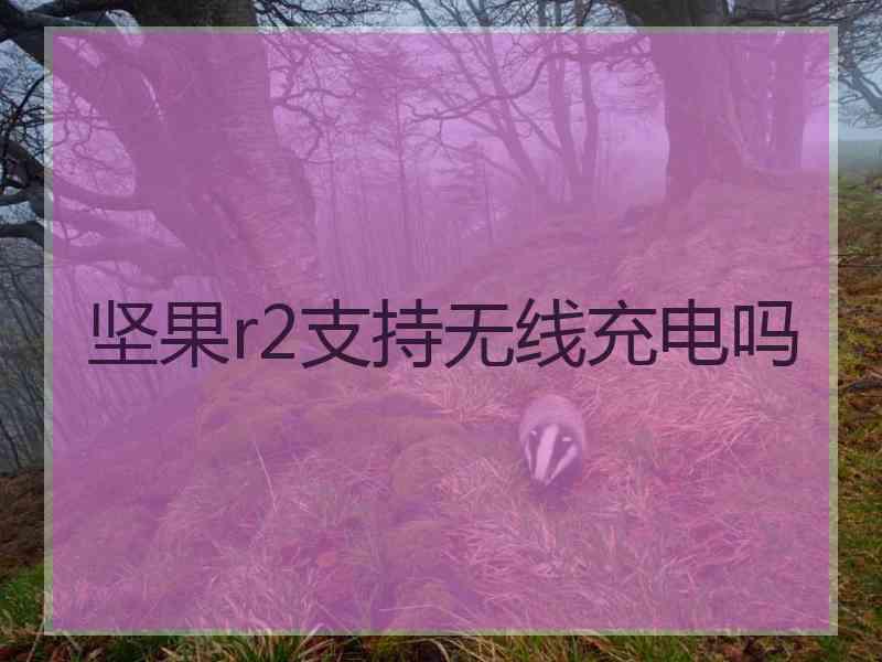坚果r2支持无线充电吗