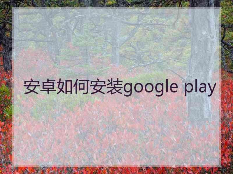 安卓如何安装google play