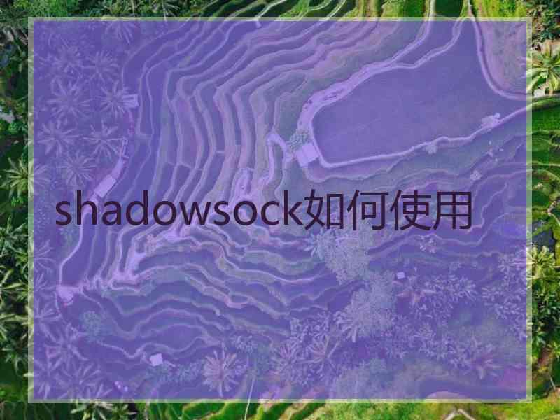 shadowsock如何使用