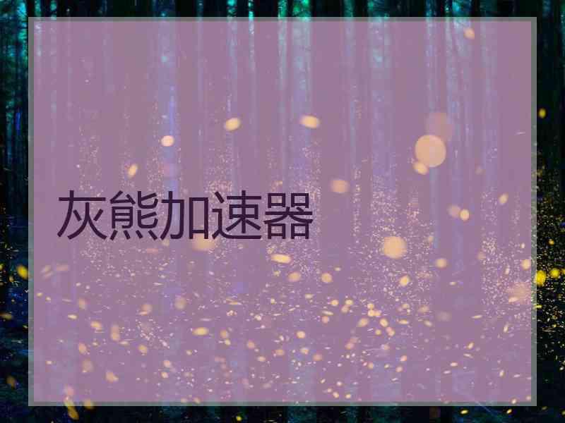 灰熊加速器
