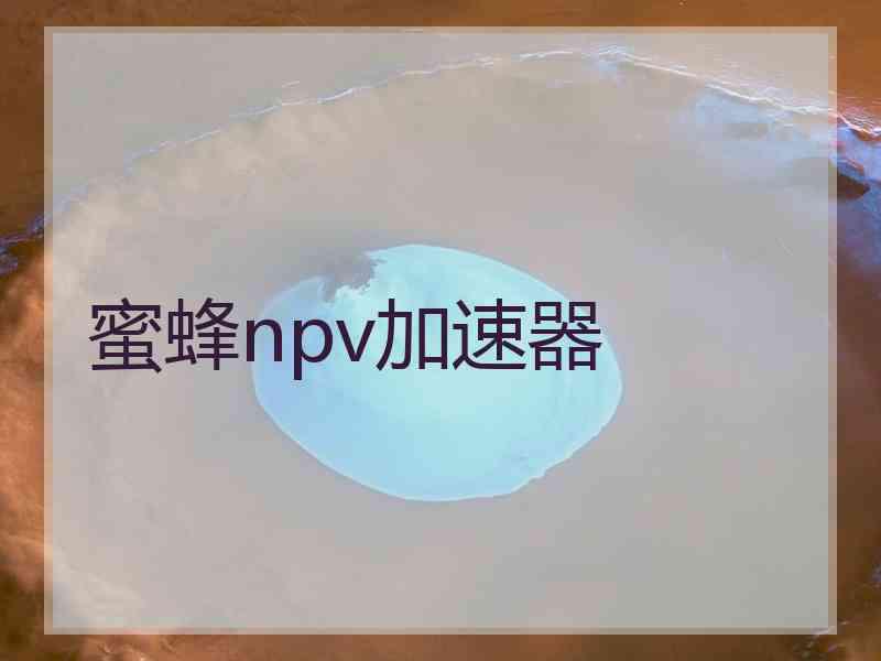 蜜蜂npv加速器