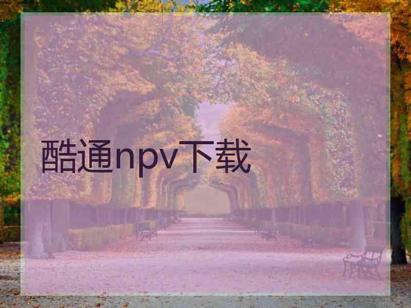 酷通npv下载