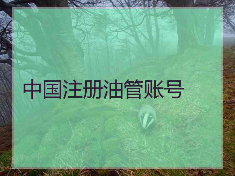 中国注册油管账号