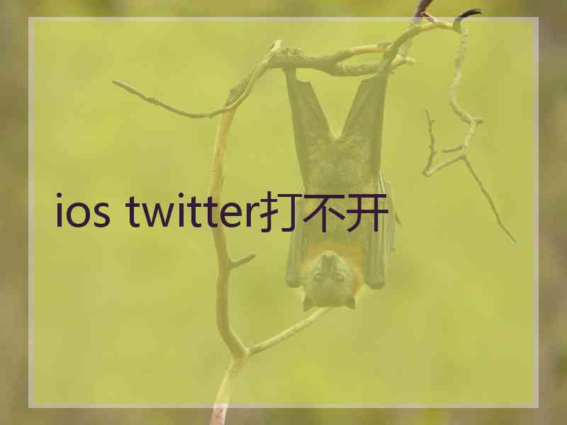 ios twitter打不开