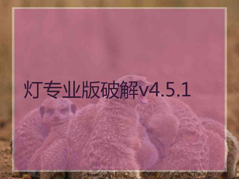 灯专业版破解v4.5.1