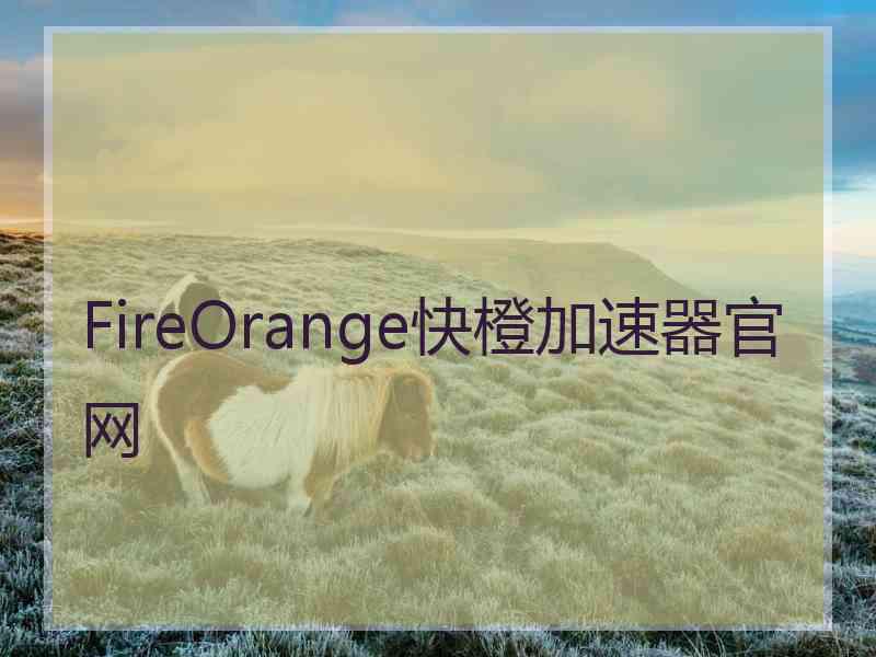 FireOrange快橙加速器官网