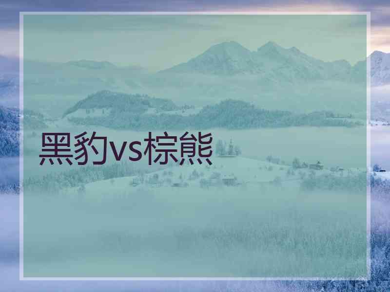 黑豹vs棕熊