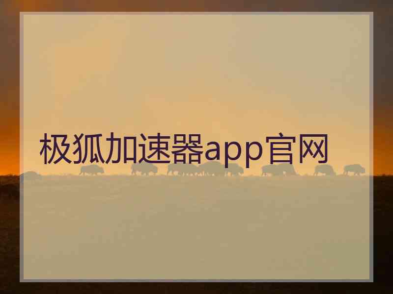 极狐加速器app官网