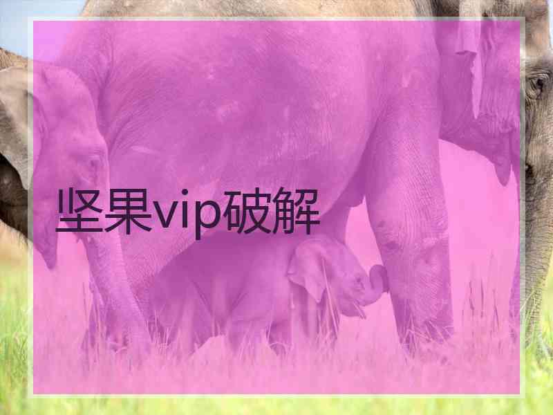 坚果vip破解