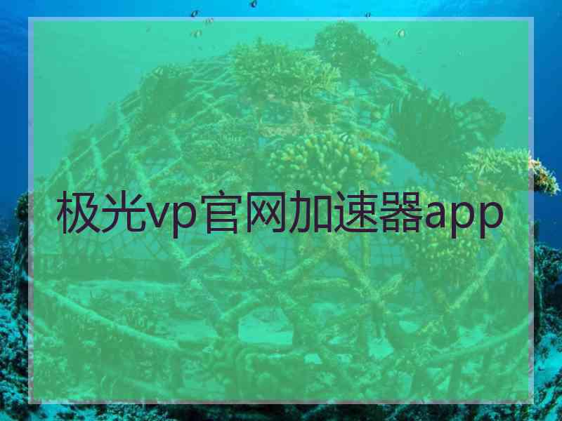 极光vp官网加速器app