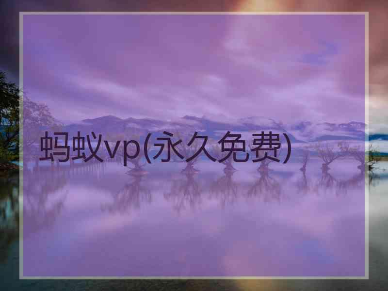 蚂蚁vp(永久免费)