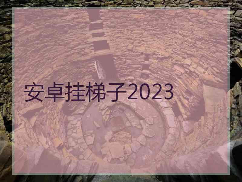 安卓挂梯子2023