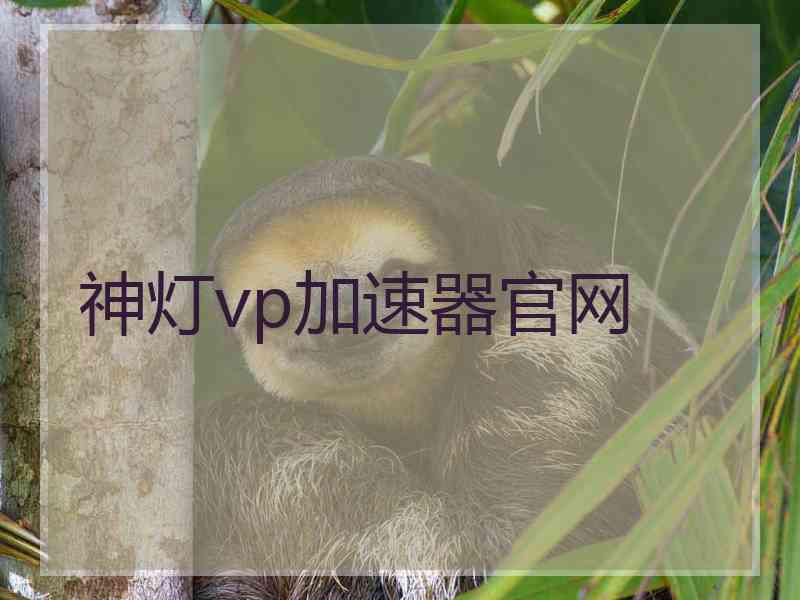 神灯vp加速器官网