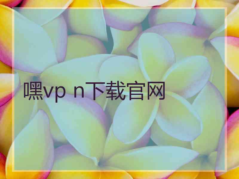 嘿vp n下载官网