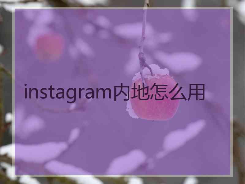 instagram内地怎么用