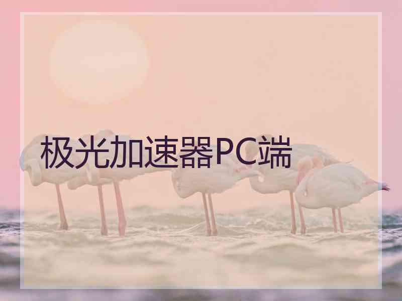 极光加速器PC端