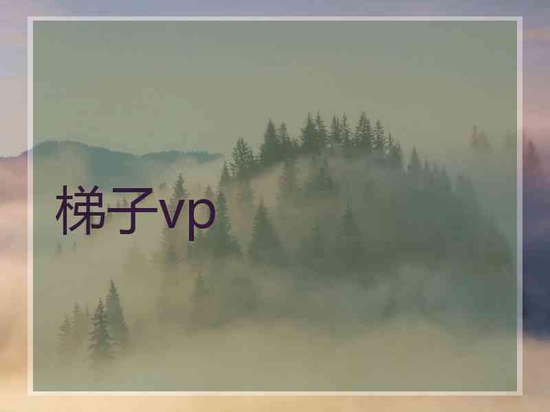 梯子vp