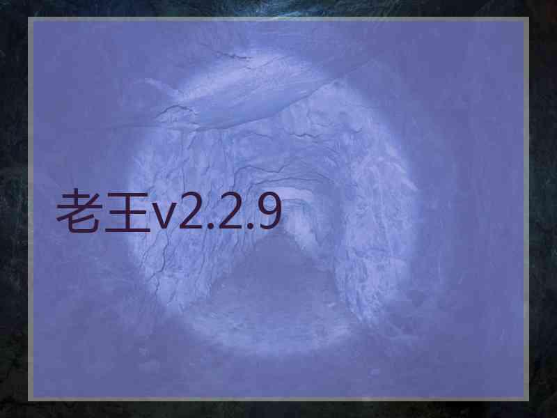老王v2.2.9