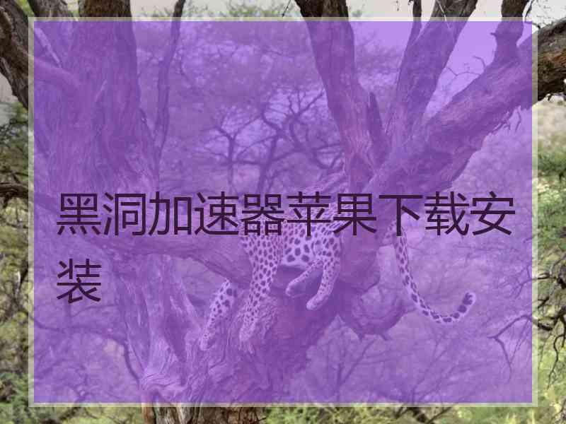 黑洞加速器苹果下载安装