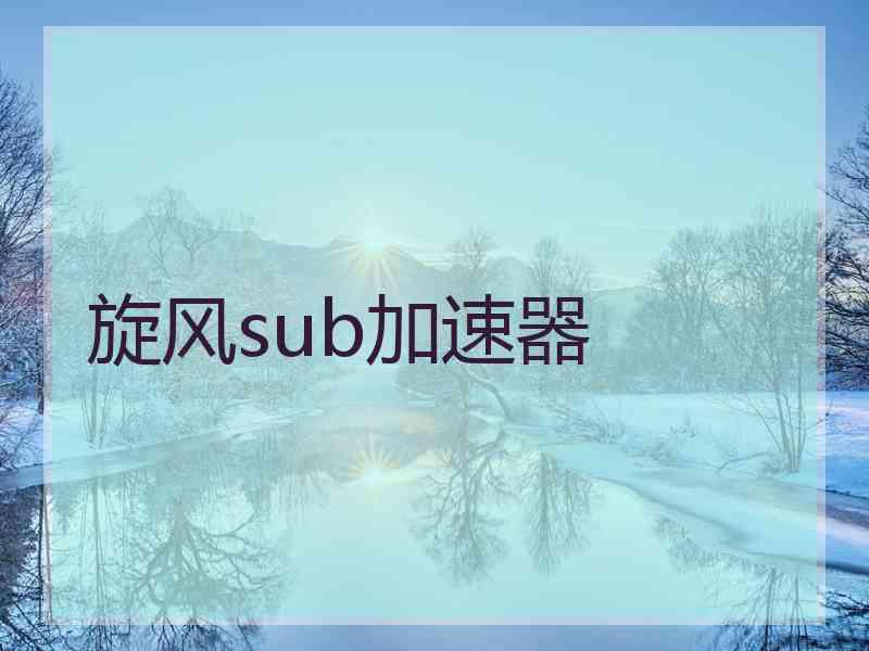 旋风sub加速器