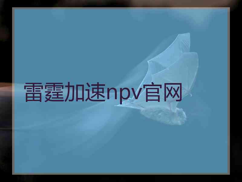 雷霆加速npv官网