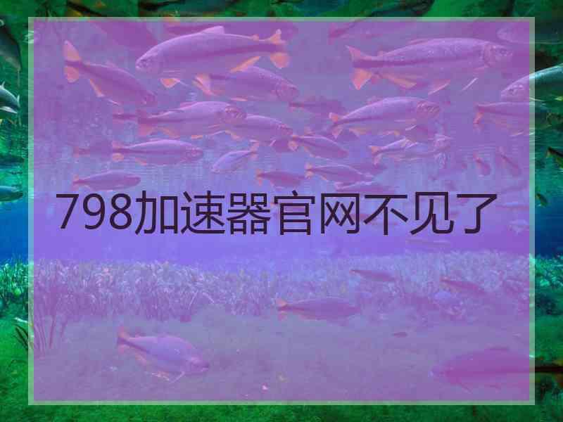 798加速器官网不见了