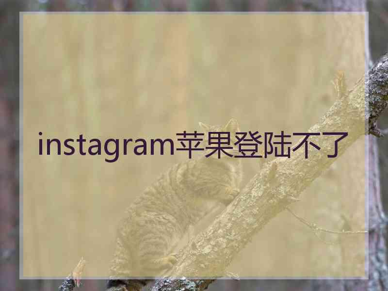 instagram苹果登陆不了