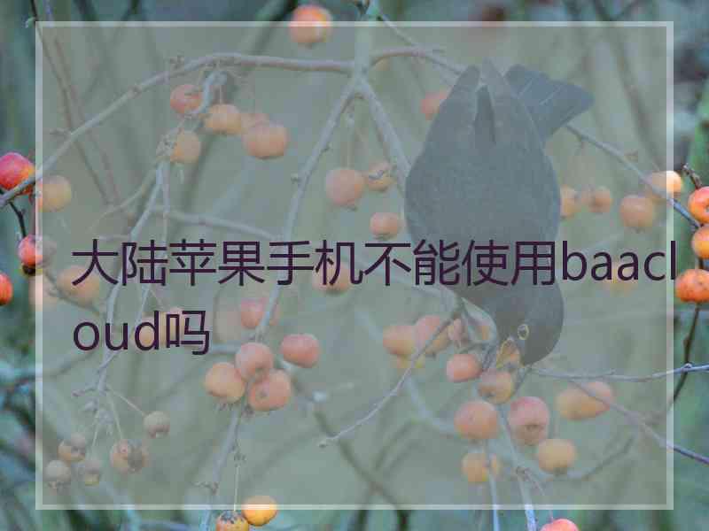 大陆苹果手机不能使用baacloud吗