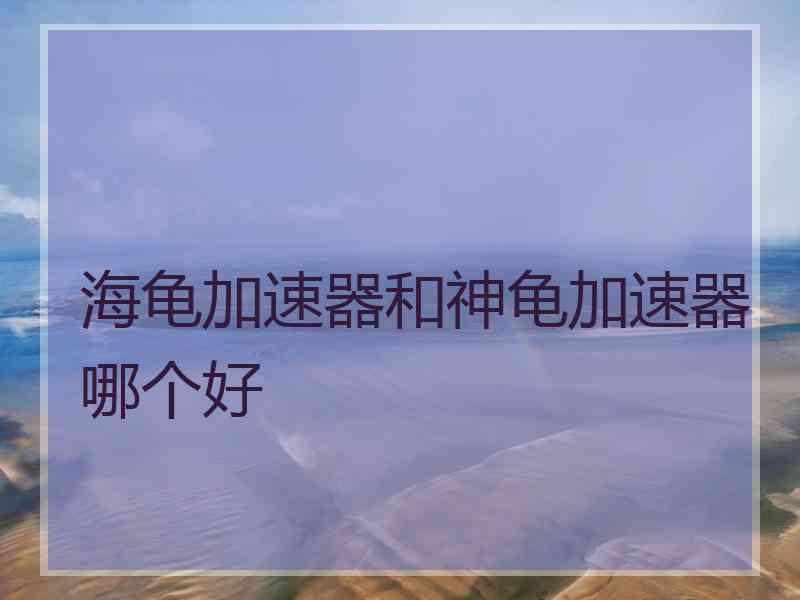 海龟加速器和神龟加速器哪个好