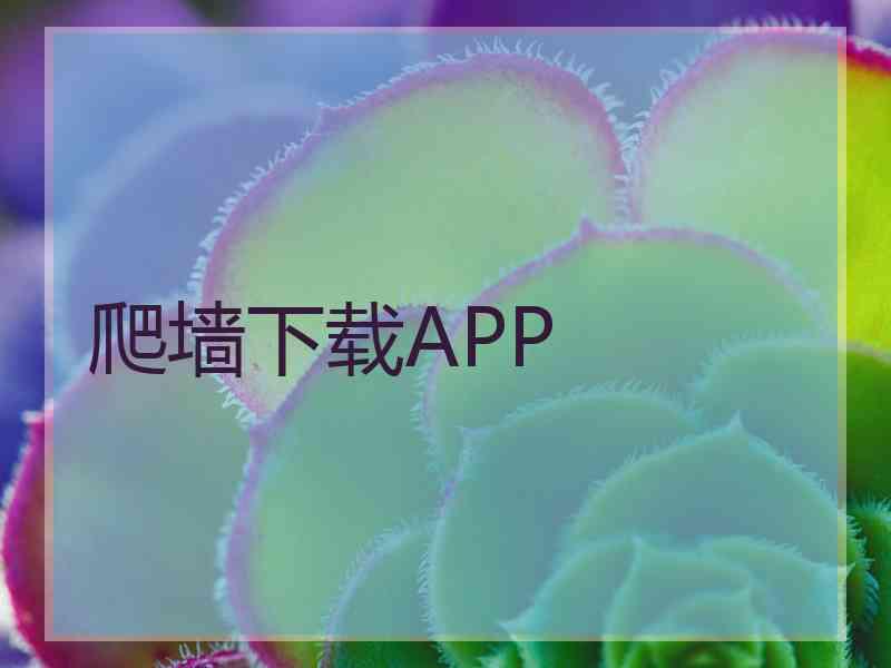 爬墙下载APP