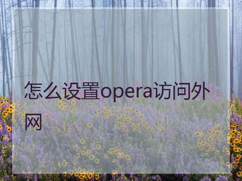 怎么设置opera访问外网