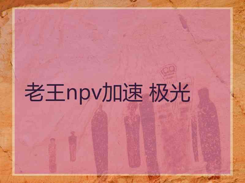 老王npv加速 极光