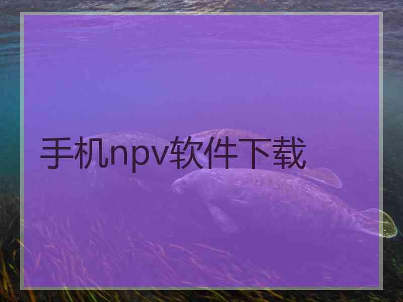 手机npv软件下载