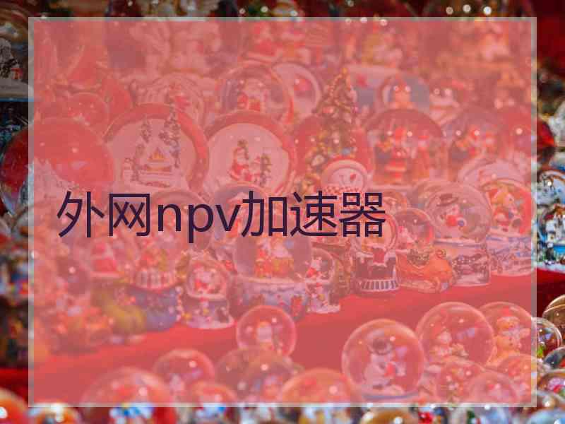 外网npv加速器