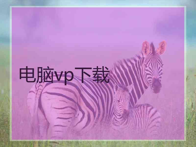 电脑vp下载