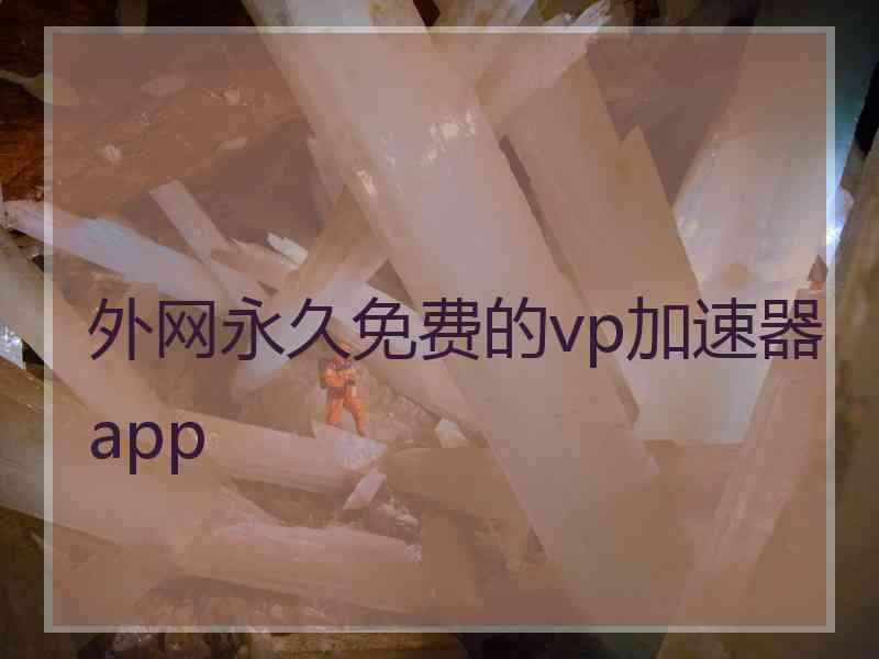 外网永久免费的vp加速器app