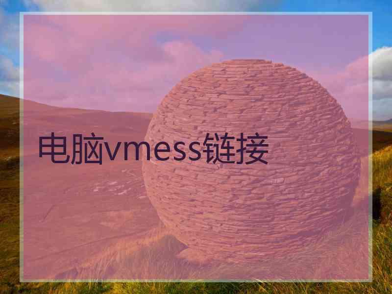 电脑vmess链接