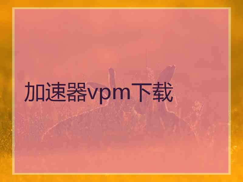 加速器vpm下载