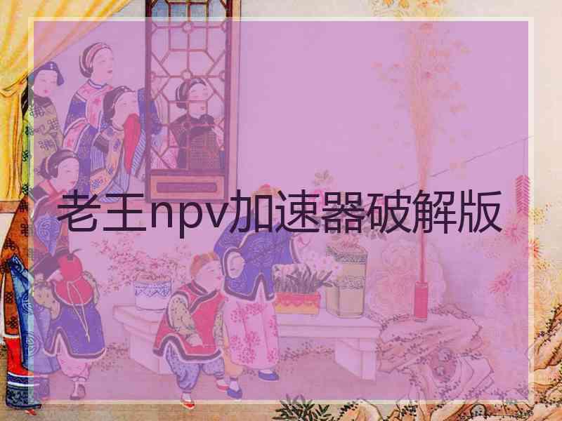 老王npv加速器破解版