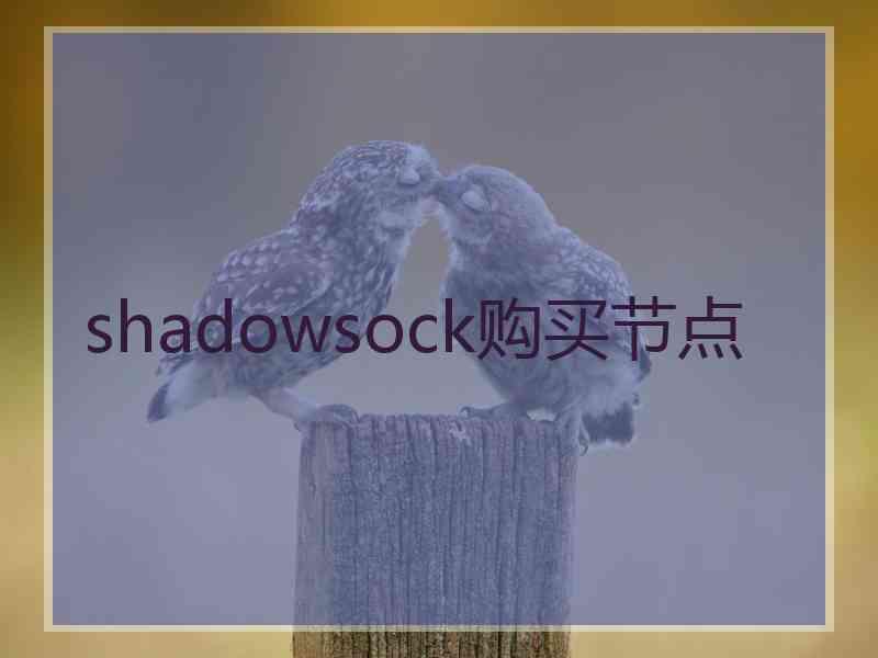 shadowsock购买节点