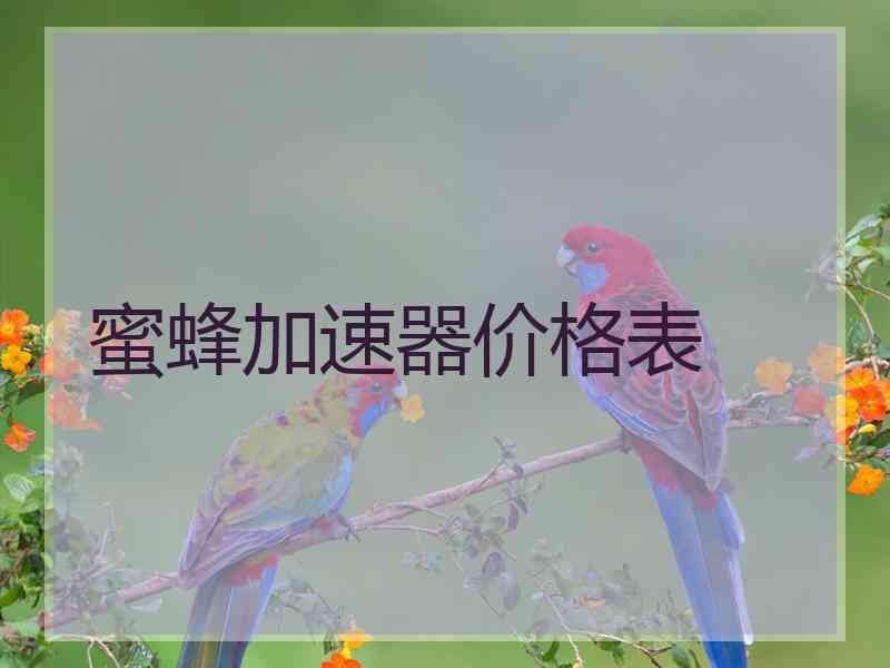 蜜蜂加速器价格表