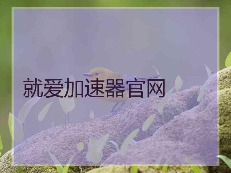 就爱加速器官网