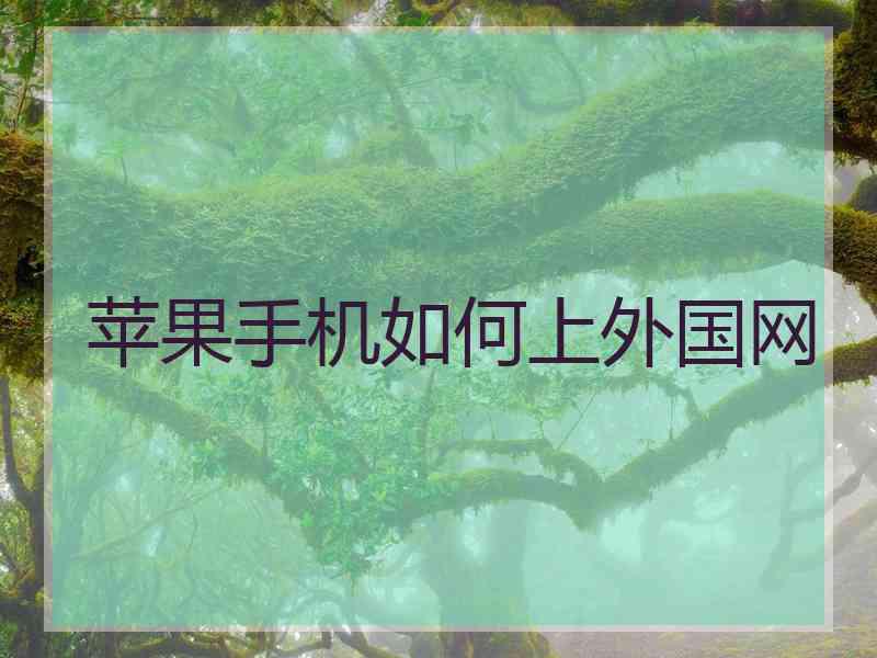 苹果手机如何上外国网