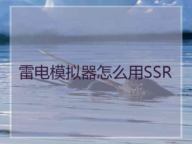 雷电模拟器怎么用SSR