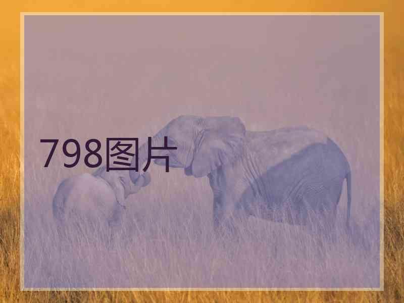 798图片