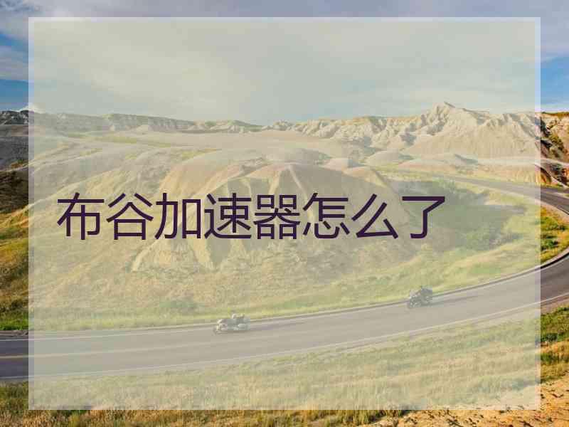 布谷加速器怎么了