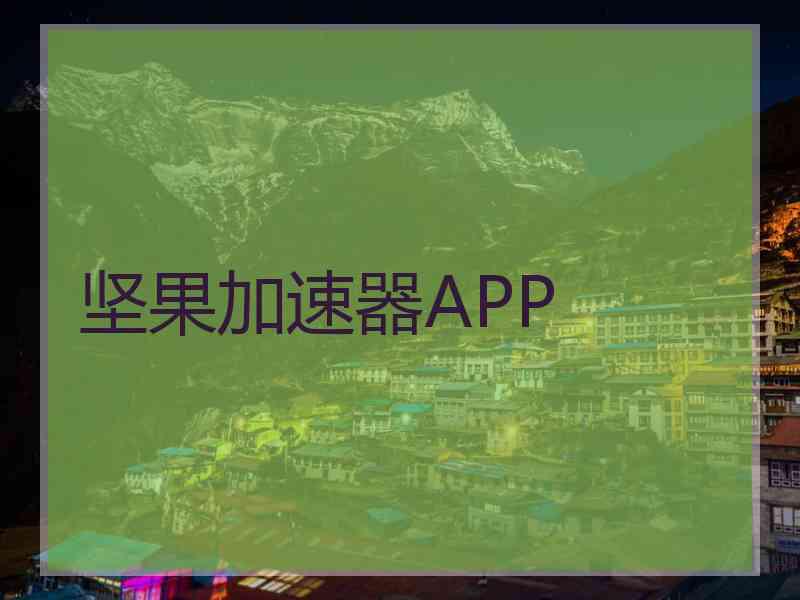 坚果加速器APP