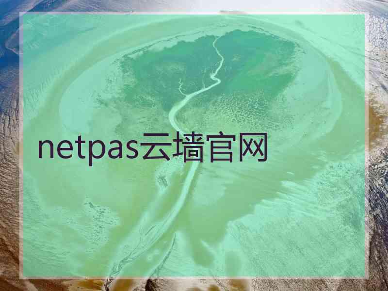 netpas云墙官网