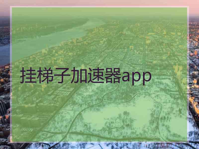 挂梯子加速器app